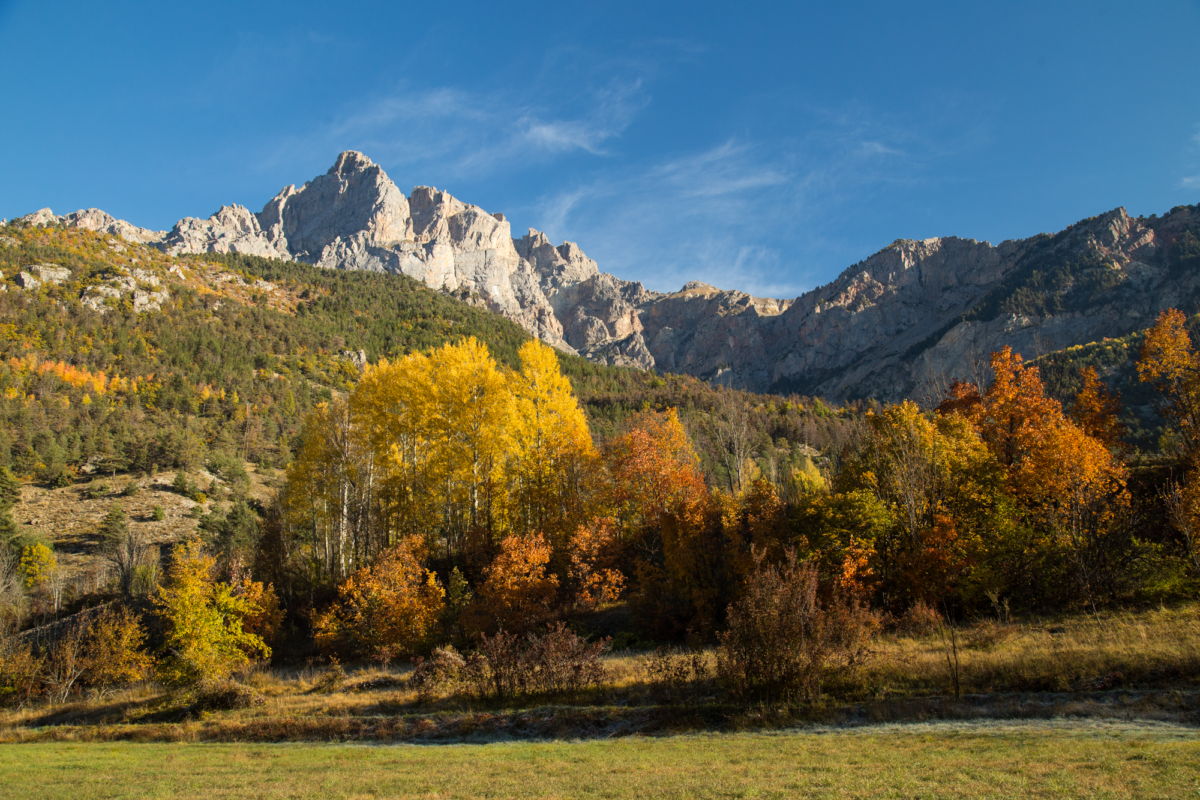 Ecrins 8