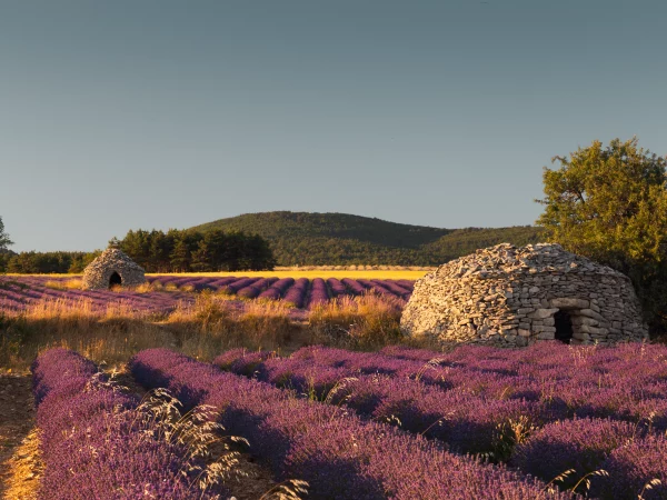 Haute Provence 8