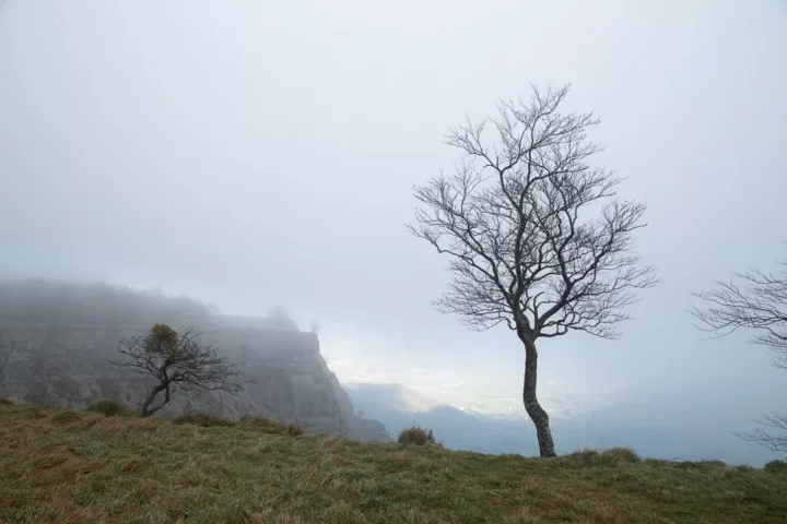 05 decembre sur kolitza