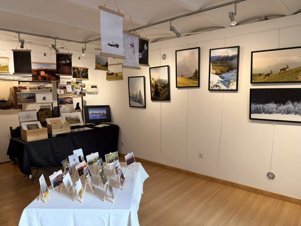 Exposition à la Galerie de l’Hubac : vue de la galerie