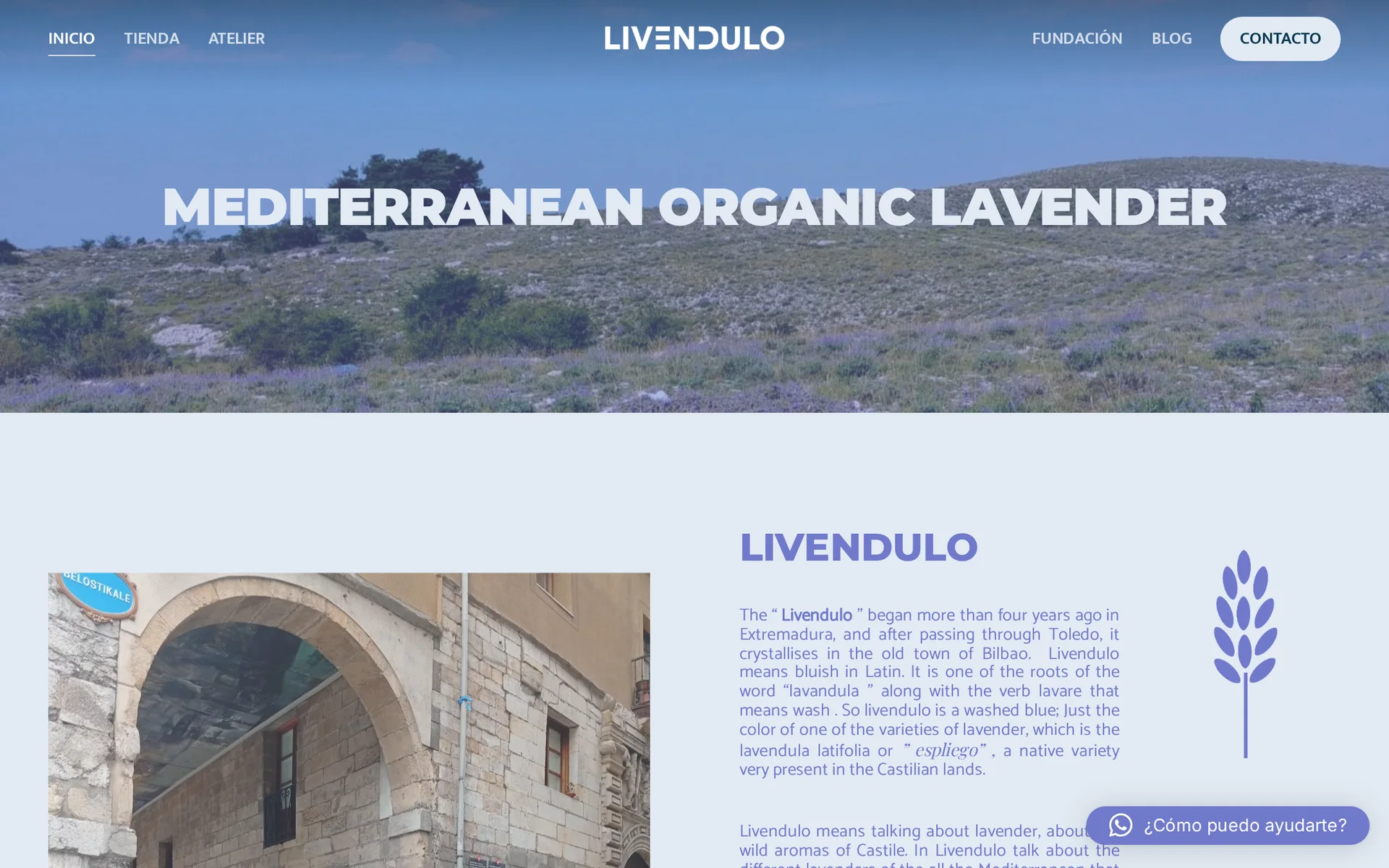 Livendulo : page d’accueil sur ordinateur