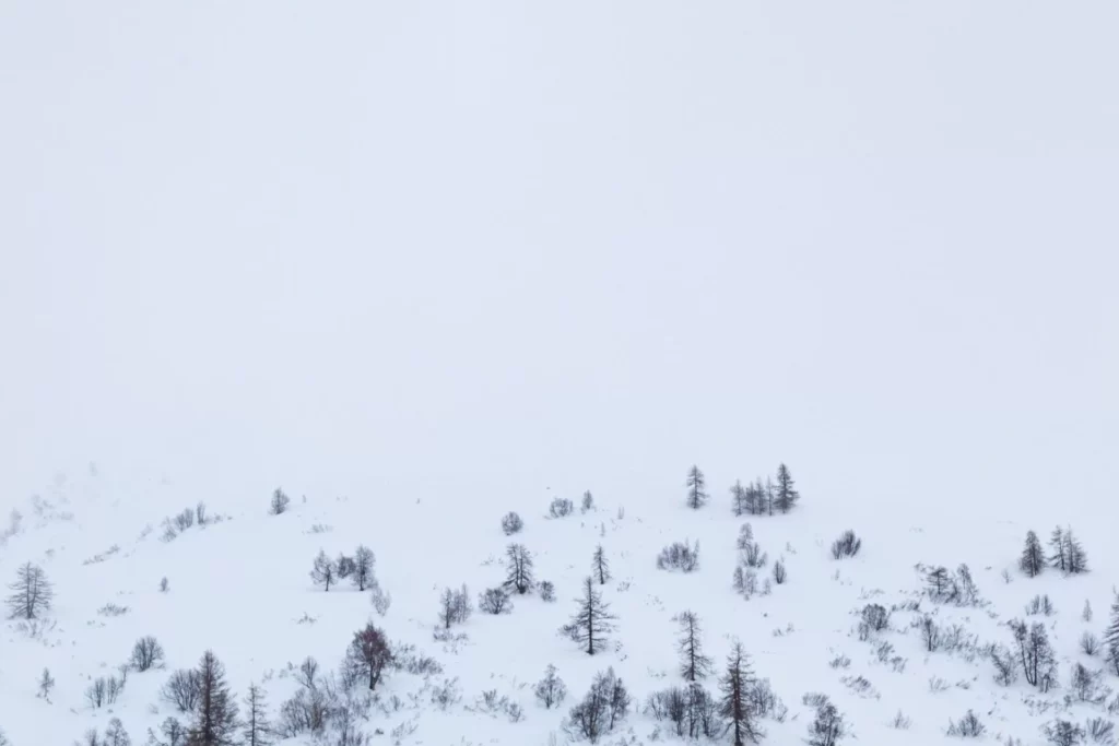 Hiver