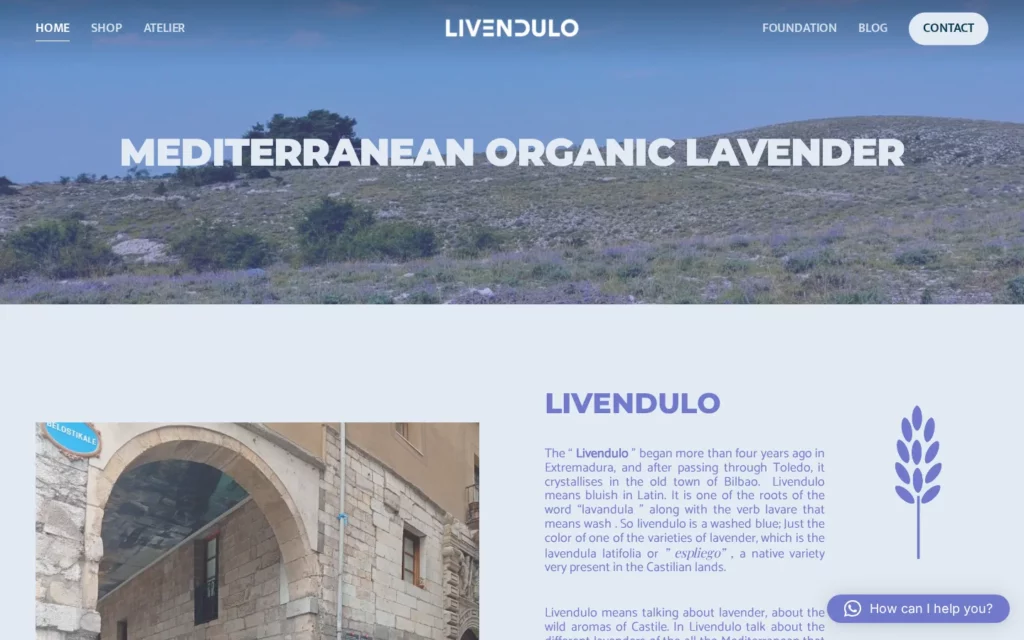 Livendulo : page d’accueil sur ordinateur