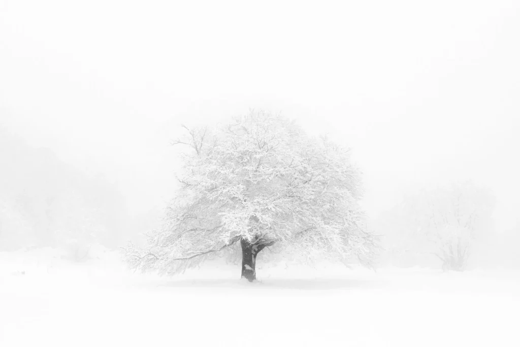 Jour blanc