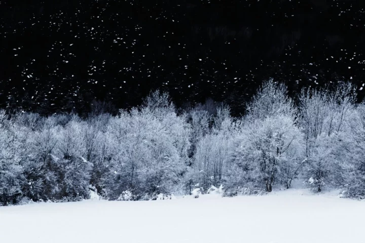 Brouillard givrant, photographie de Nicolas Hodée