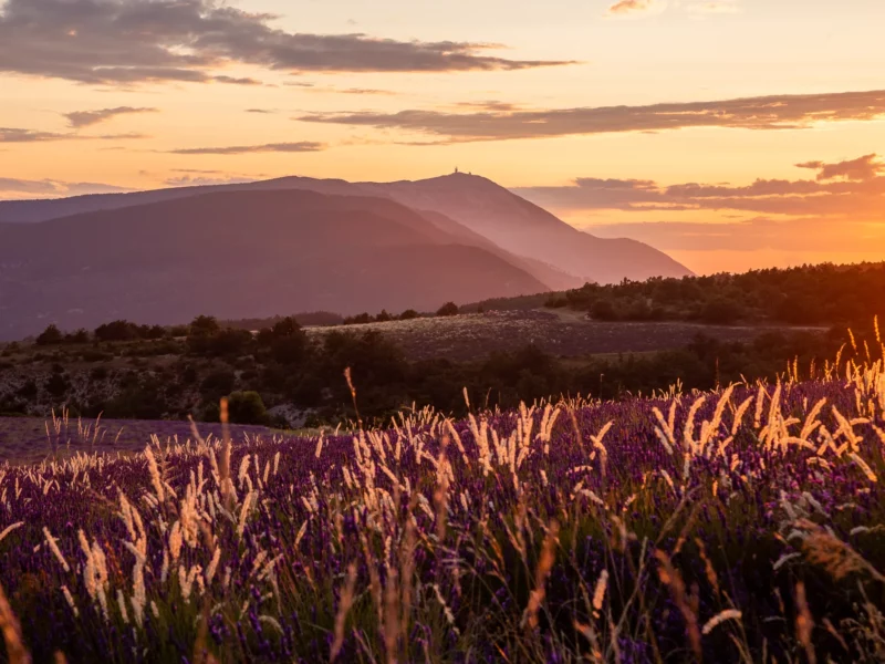 Coucher de soleil sur le Ventoux, Provence. Photographie de Nicolas Hodée