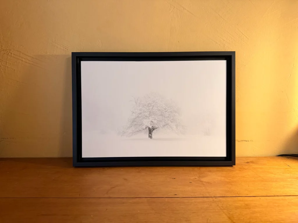Tirage d’un arbre sous le givre, dans une caisse américaine noire posée sur une étagère en bois