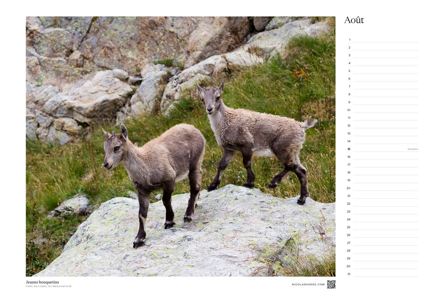 Calendrier perpétuel, août