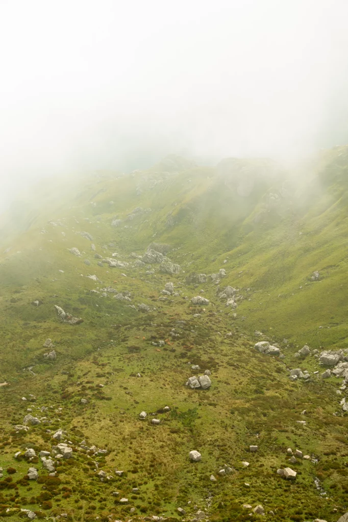 Brume sur le vallon