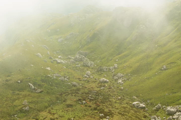 Vallon d’altitude et vaches sous les nuages