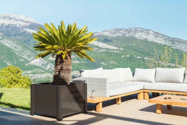Storia Metal, terrasse