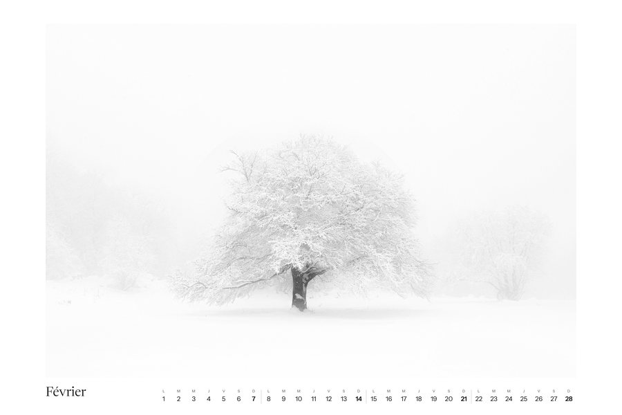 Calendrier 2027, février
