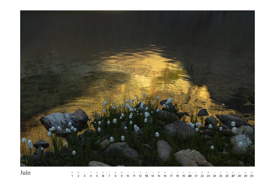 Calendrier 2027, juin
